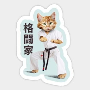 Karate Sticker